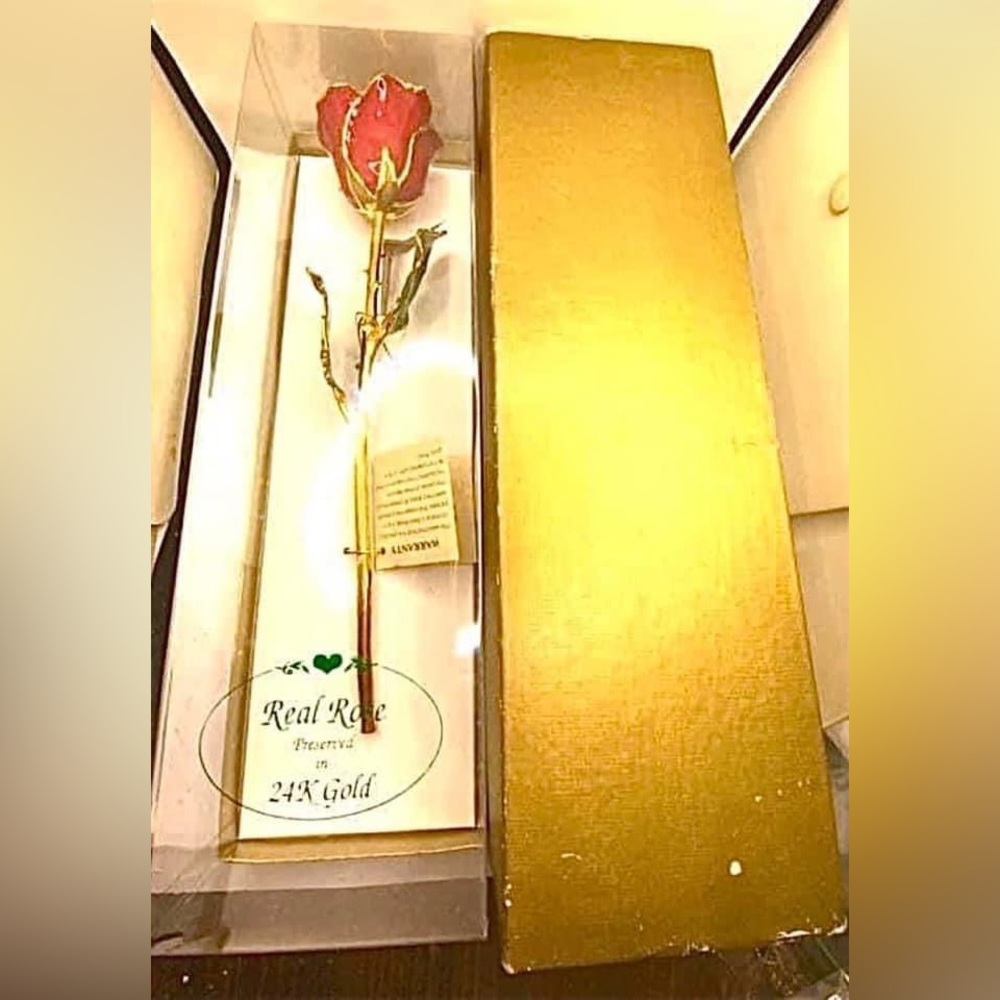 Nib Vintage Stock 24k Gold Dipped Real Red Long S… - image 7